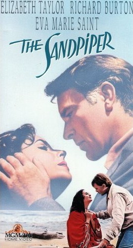 The Sandpiper US VHS